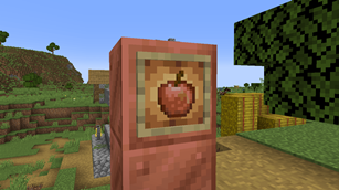 Item Frame