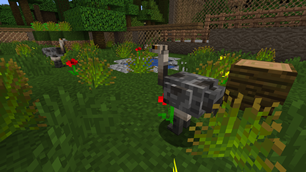 Greater Rhea