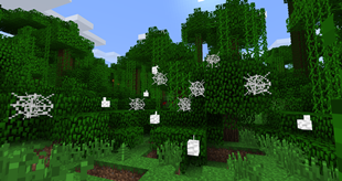 Spider Nest Trees
