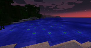 Phosphorescent Algae