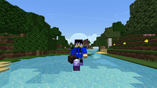 Walking on water
