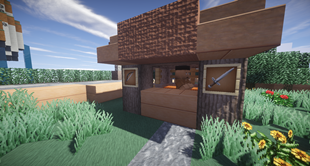 House Shot 1