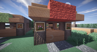 House Shot 2