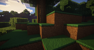 Dirt Close Up 2