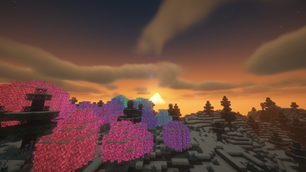Enchanted Grove at Sunset