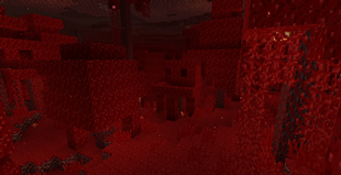 Crimson Forest in 1.3.2.png