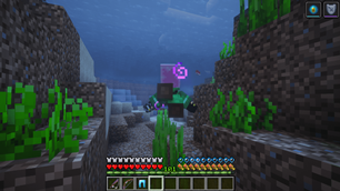 Turtle Armor Swiming