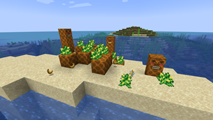 Pineapples!