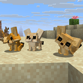 three color variants