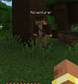 Adventurer Companion in the wild