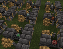 Lot of miners