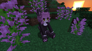 Screenshot (13).png