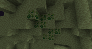 End Experience Ores