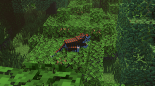 Sumatran Tiger , a rare sight !