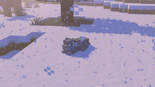 snow leopard chilling in the snow