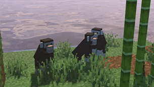 Chimpanzee groups are always nice to find .