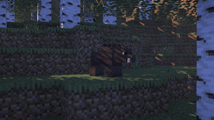 Wild boars are abundant in forest biomes .