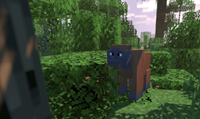 Orangutans are at home in jungle biomes . Make sure to recreate their environment in your zoo .