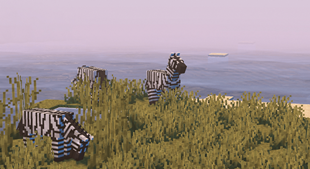 Plains zebra will make your savannah biomes stunning .