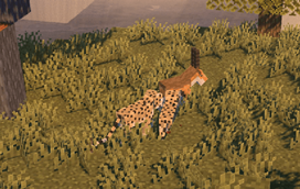 Our animals will interact with each other . Here , a predation scene between cheetahs and a gazelle .