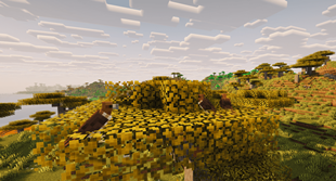 Birds.png