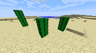 Better Cactus Off