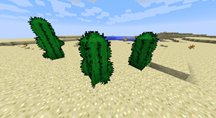 Better Cactus On