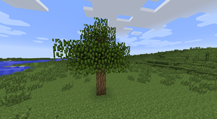 Extra Leaves Off