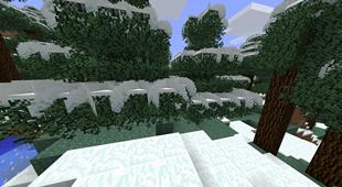 Extra Leaves Snow On