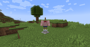 armor1.png