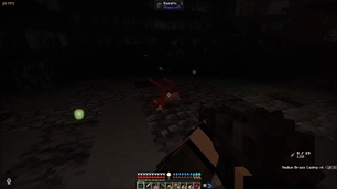Gameplay.jpg