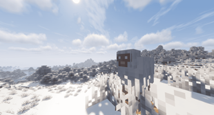 Sheep!