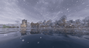 Village