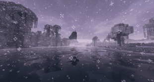 Icon full size