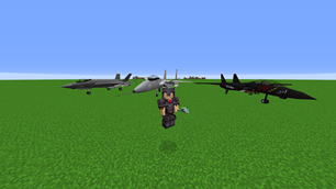 1.16.5 content