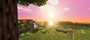 Screenshot 22