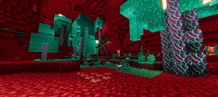 Screenshot 30