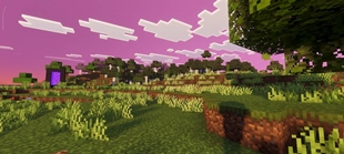 Screenshot 29