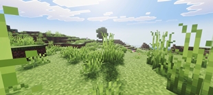 Screenshot 20