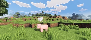 Screenshot 25