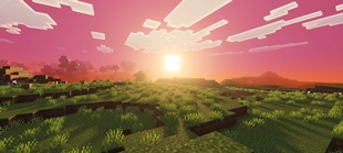 Screenshot 31