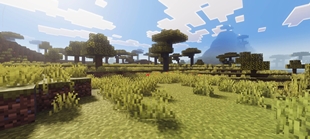 Screenshot 27