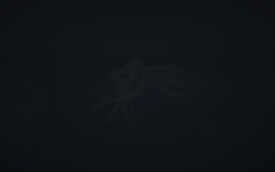 2025-11-25_14.22.19.png