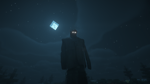 Watcher