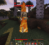 Skeleton With Level 3