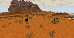 wild animals.png