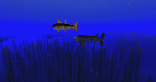 A Tuna getting hunted by a Xiphactinus