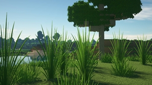 TruePixelR_v0 (2).jpg
