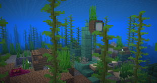 Octopolis and Octopus