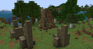 Ant Gardens and Ants